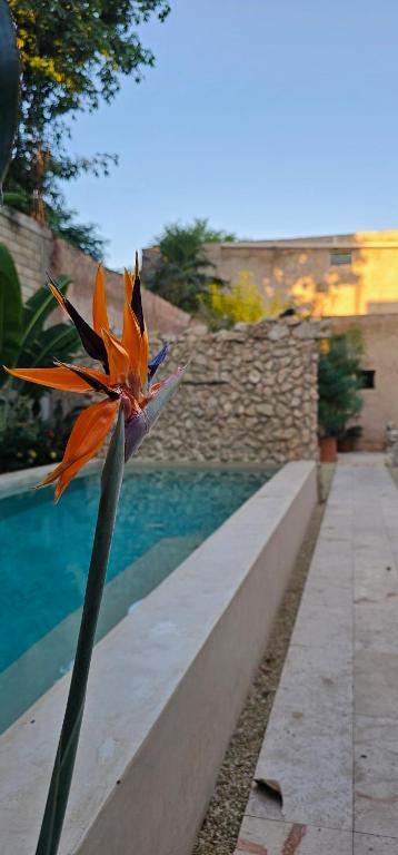 Casitas Merida - 4