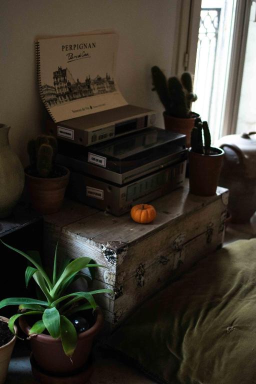 O Saudade - Centre Perpignan, Perpignan