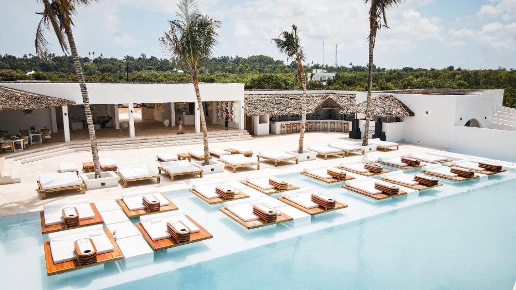 Ảnh 5