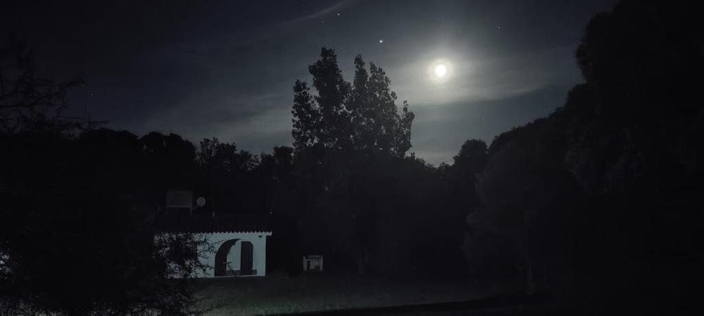 Don Juan M Cabañas - 3