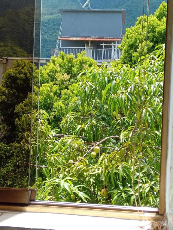 Executive type apartment of 35 meters Sebucan Caracas - 2