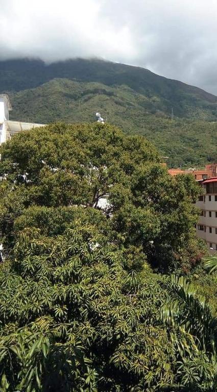 Executive type apartment of 35 meters Sebucan Caracas - 1