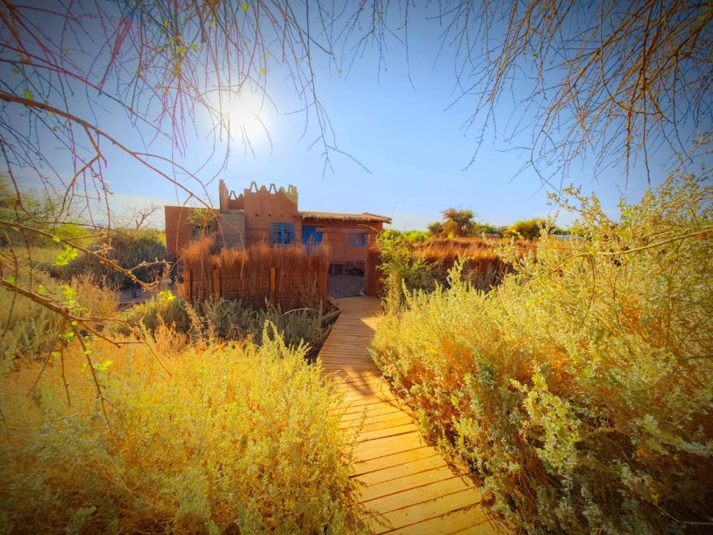 Casa Ckuri - 5