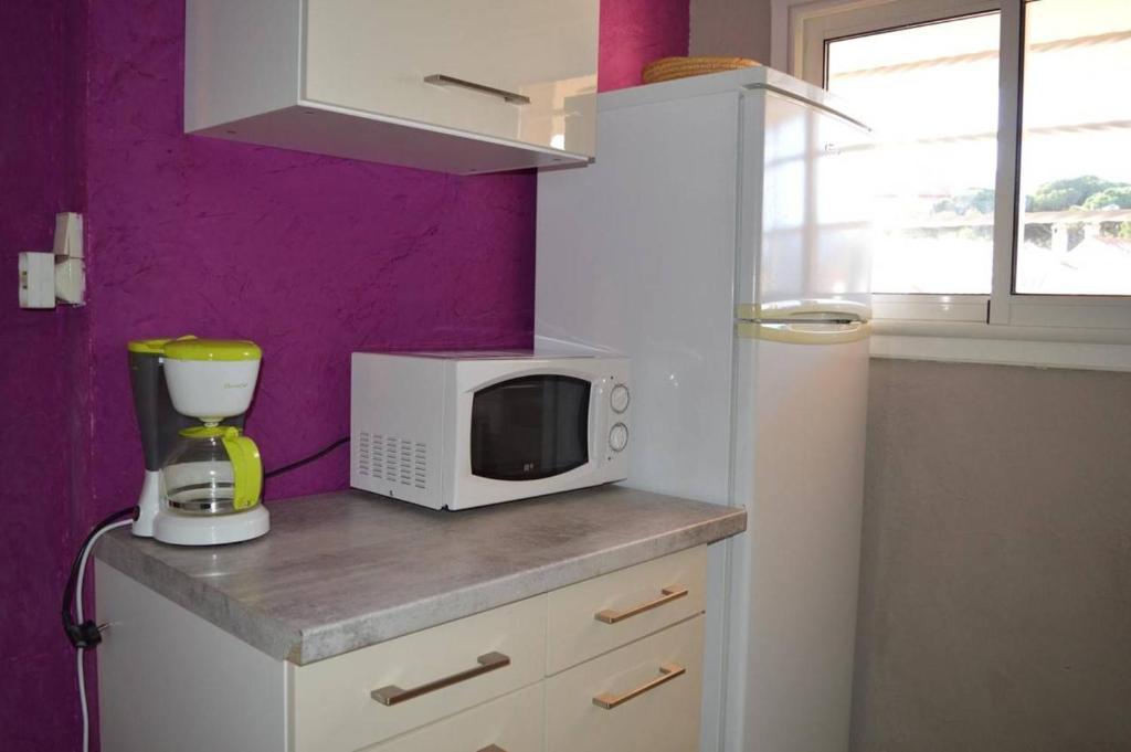 Appart 3 pièces 6 couchages BANYULS SUR MER BN020-036 - 5