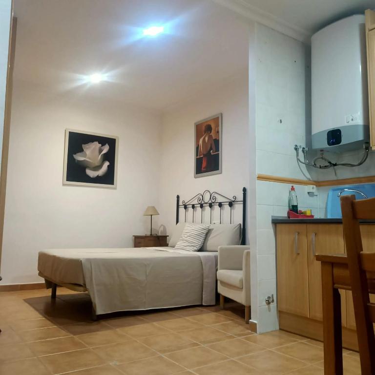 Modern Studio in Toledo - 45 m² - 4 guests - 2