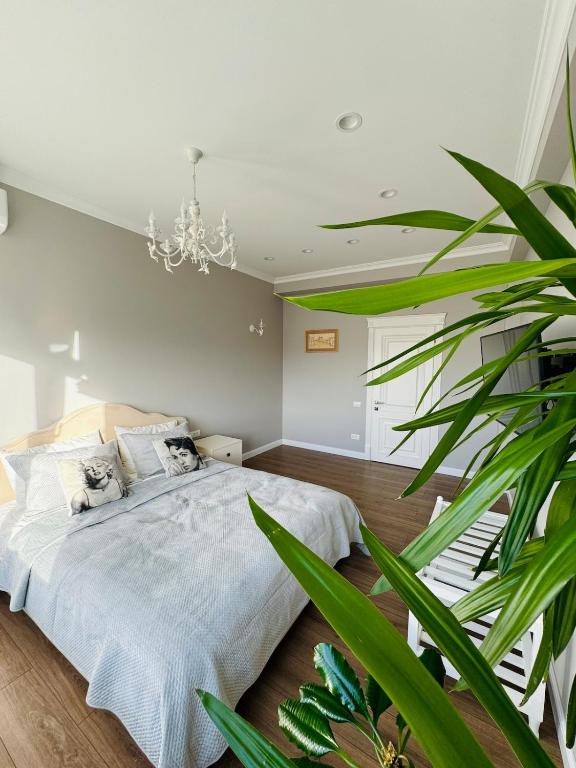 Apartamentul din Valea Trandafirilor, Chişinău