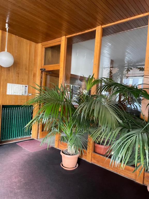 Casa di Matteo - 3