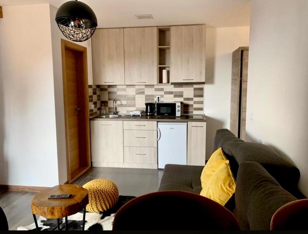 Mr Alek - Luxury Apartment Kopaonik - 5