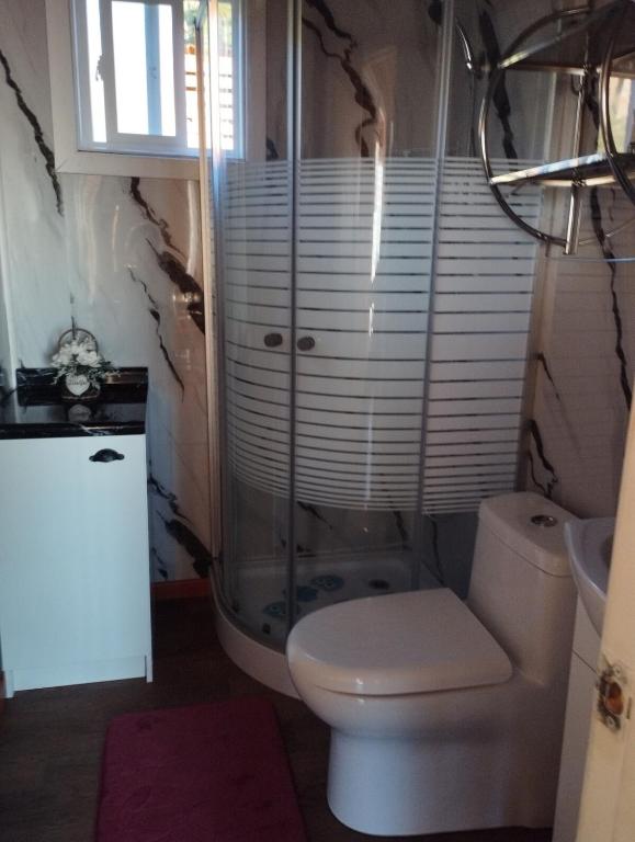 Cabaña Puyehue, vista los lagos - 3