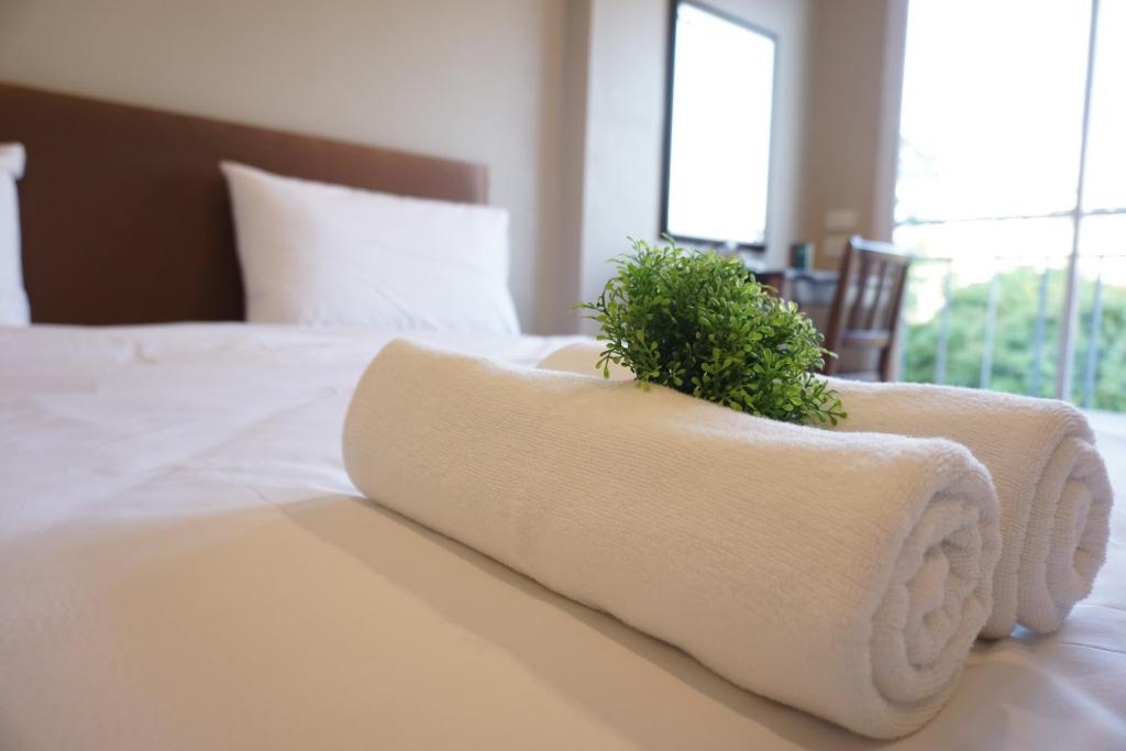 Comfortable mattresses