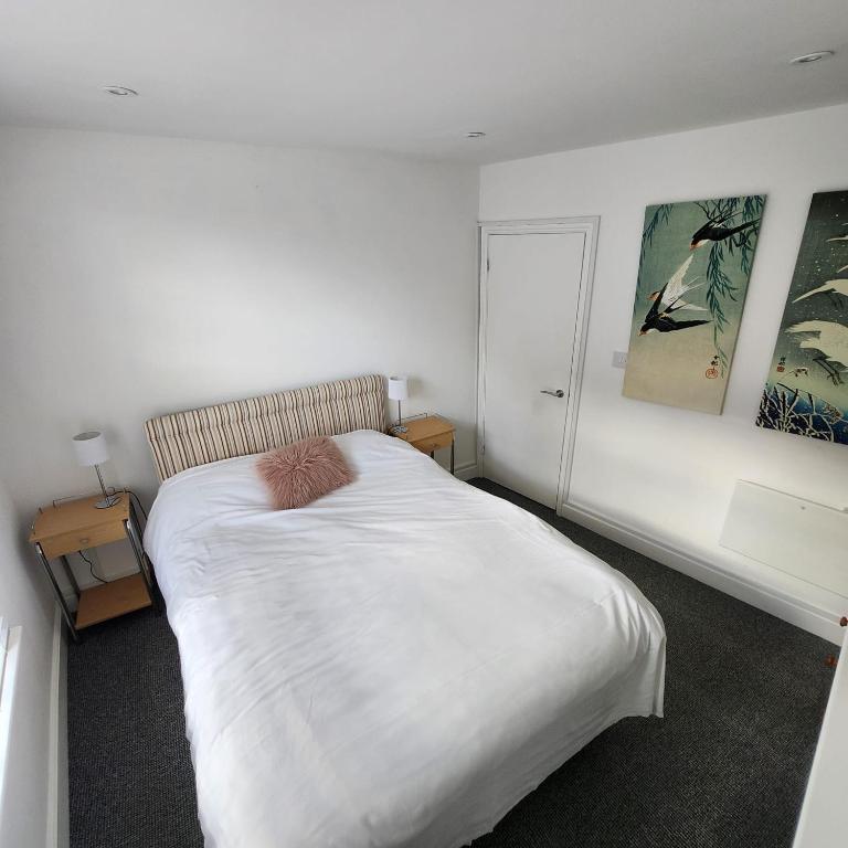 The Borough Apartment, Canterbury photo 2