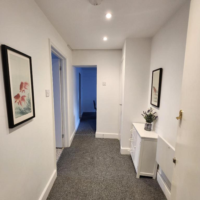The Borough Apartment, Canterbury photo 4