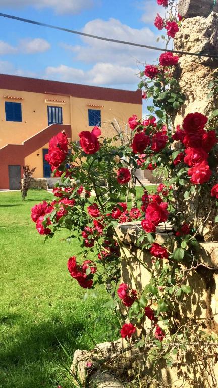 Bright Studio in Gallipoli - 30 sqm + Enclosed Garden, Gallipoli