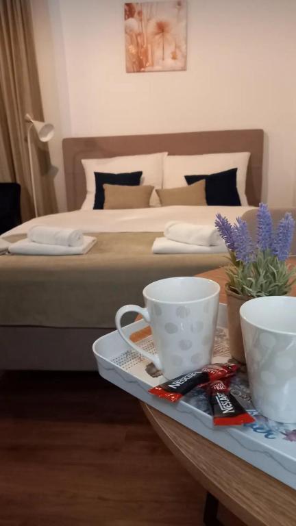 Apartman Mijate - 4