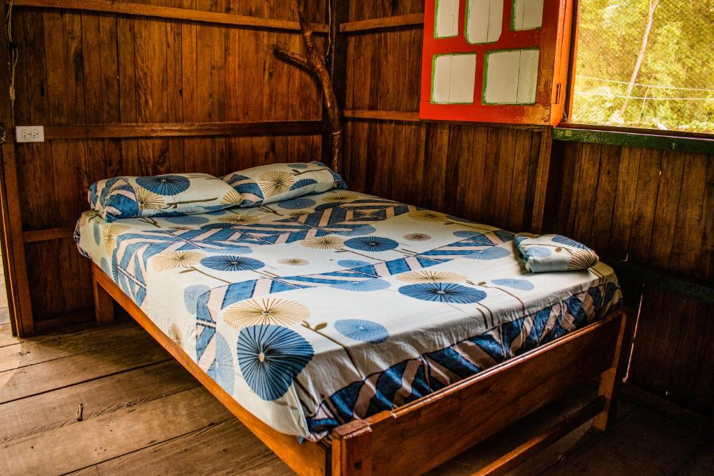 hostal herping bahia solano tour - 2