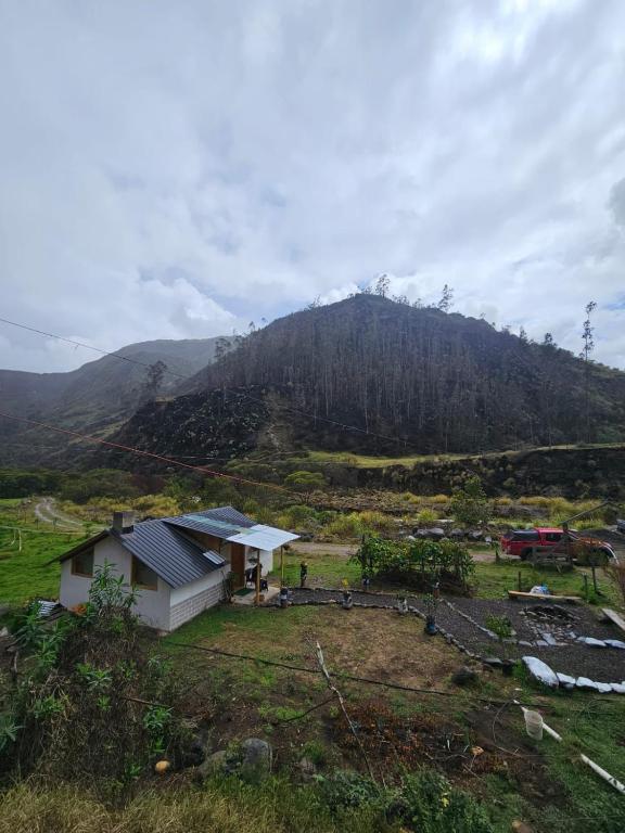 The Frailejon Mountain - 3
