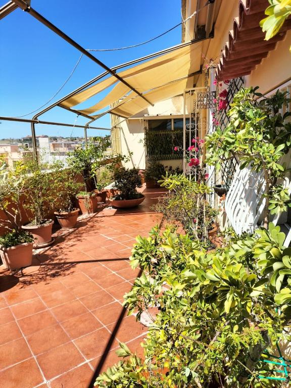 Il Quartierino - 5