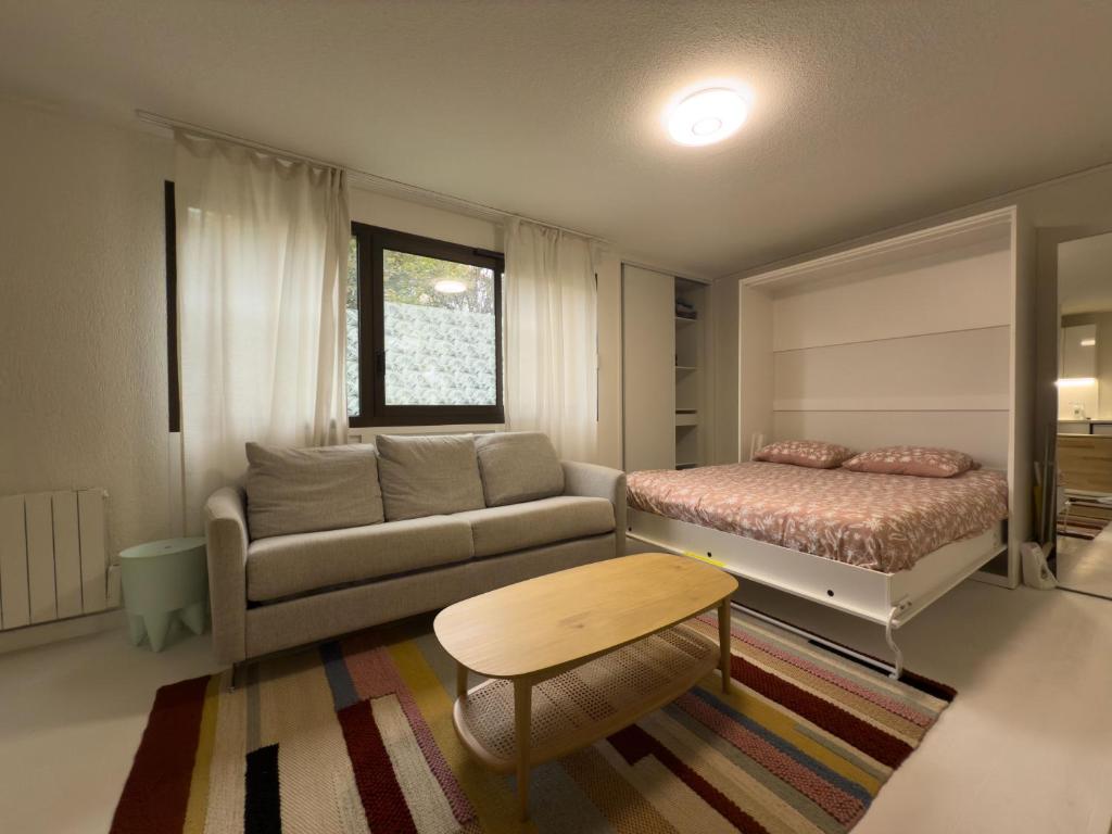 Studio équipé, idéal CERN, Saint-Genis-Pouilly