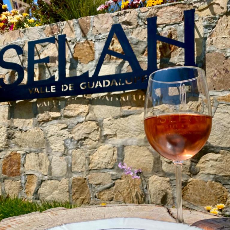 Finca Selah - 4