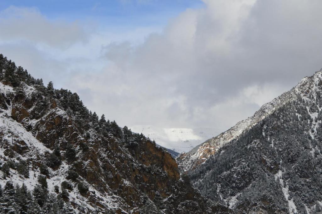 Surrounding environment