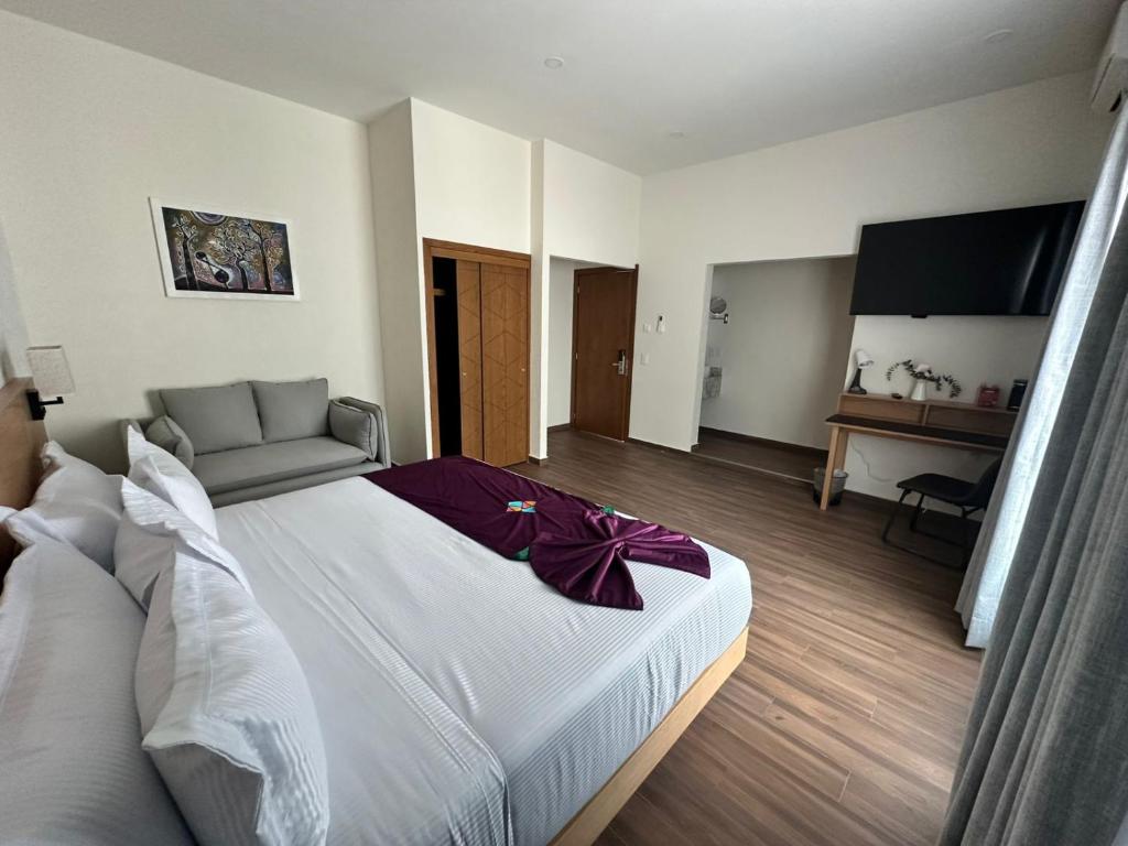 FCH Hotel Minerva-CAS - 3