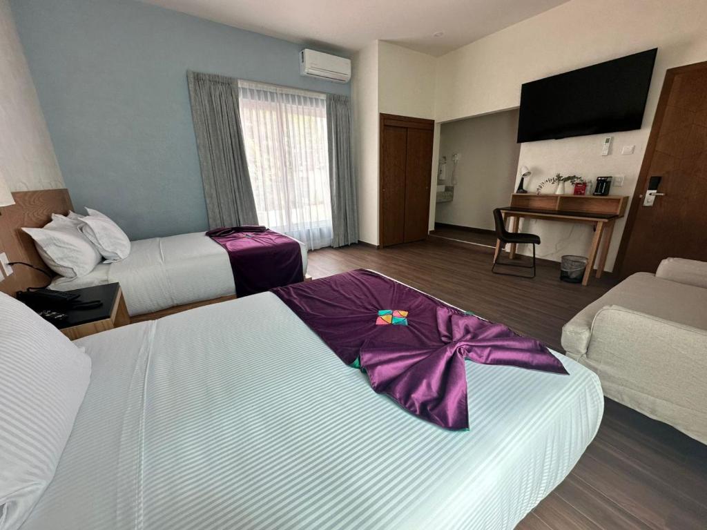 FCH Hotel Minerva-CAS - 4
