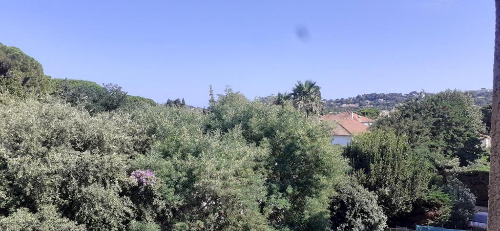 Home cavalaire - 5