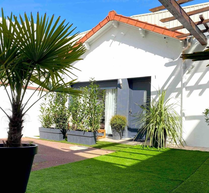 Le Palmier Studio - Private Studio, Maisons-Alfort