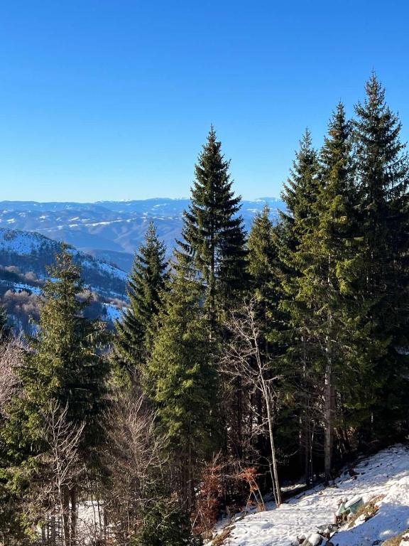 Apartment A13 Kopaonik - 3