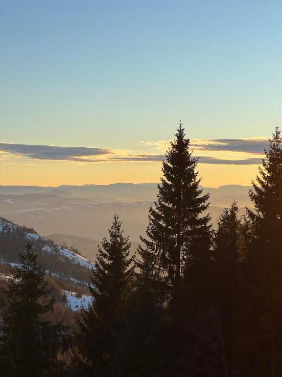 Apartment A13 Kopaonik - 2