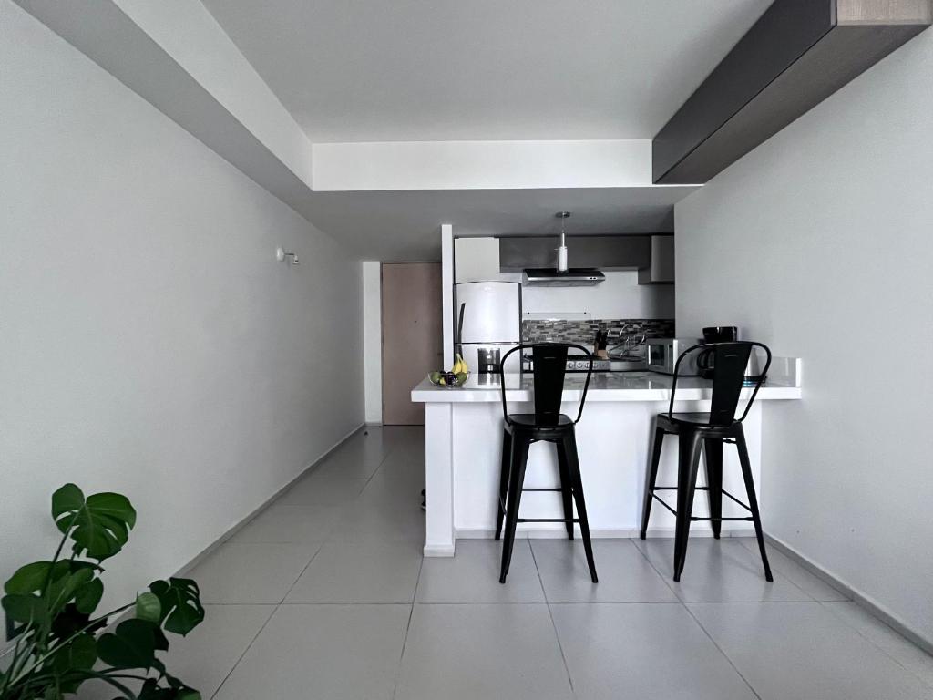 C205 - 1BR - 1BTh - 2