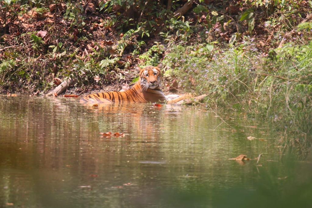 Surrounding environment