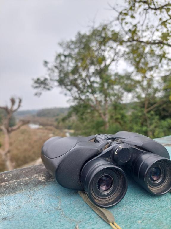 Surrounding environment