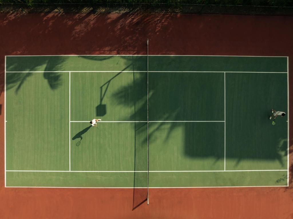 Tennis court