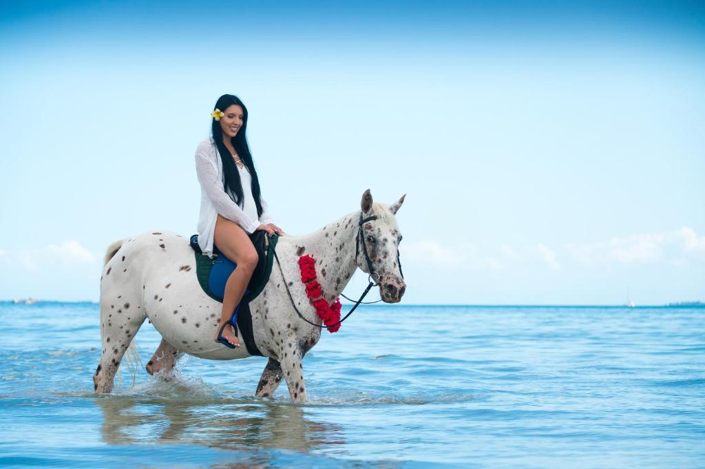Horseback riding