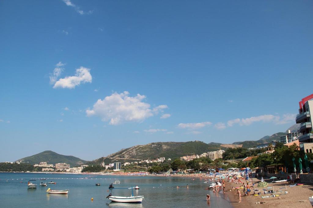 Apartments Milos Kaladjurdjevic photo