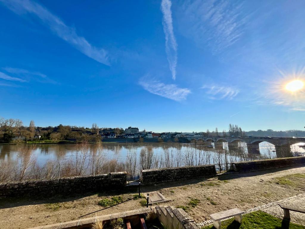T2 climatisé face Loire et château le 4-4 - 5