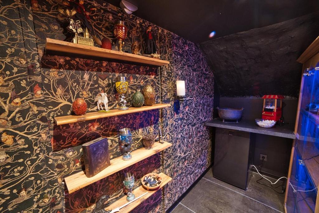 Chez Potter Escape Game, Secret Room, PS5 Garage, Logements Insolites - 3