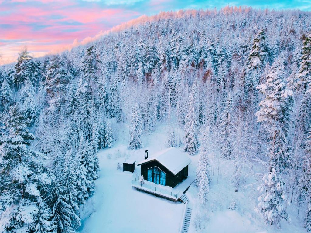 Newly built cabin with sauna, fireplace and amazing view, Järvsö