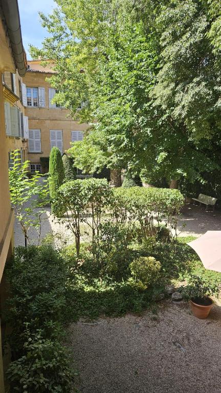 Le Jardinet de la Cathédrale - 3