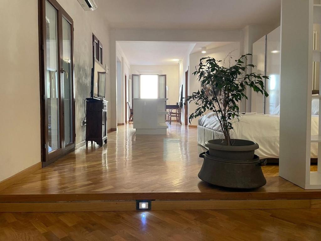 Loft del Pratello - 4
