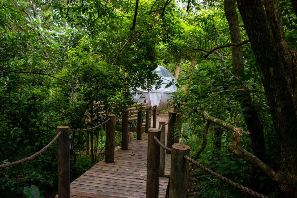 The Cacoon Tsitsikamma, Stormsriviermond