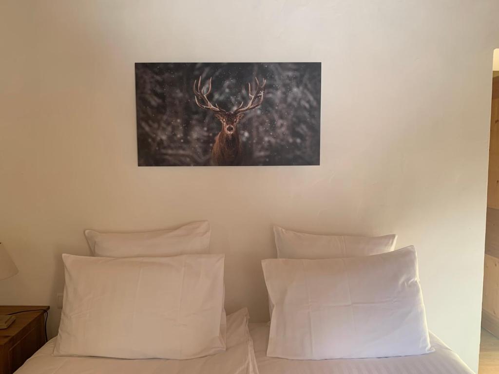 Inspiration Montagne Chambre d'hôtes - 3