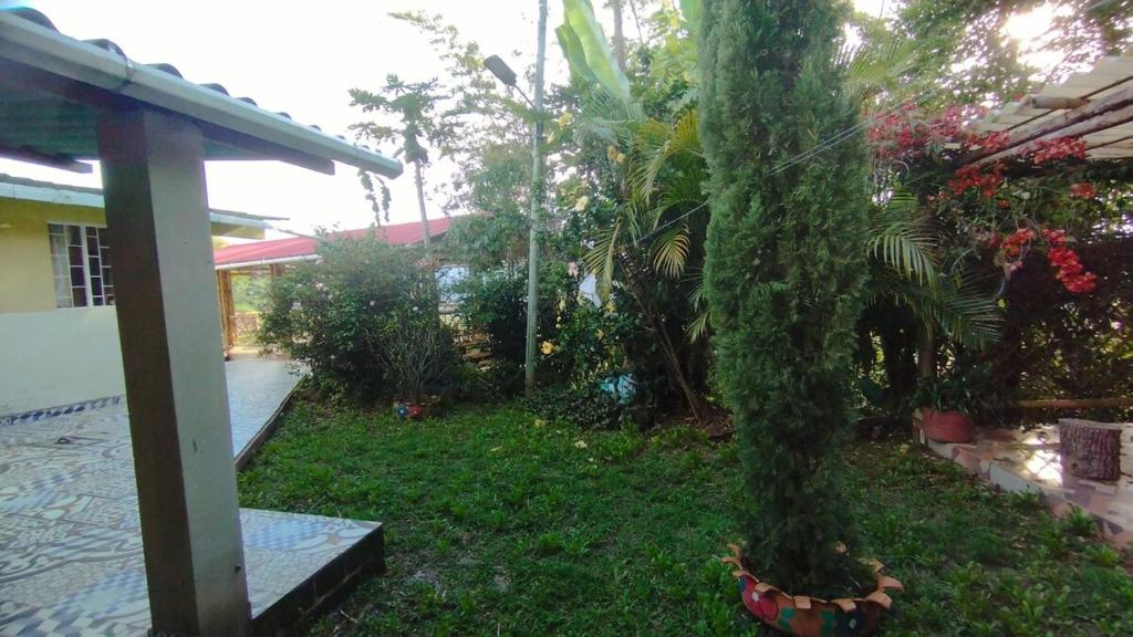 country estate - 4
