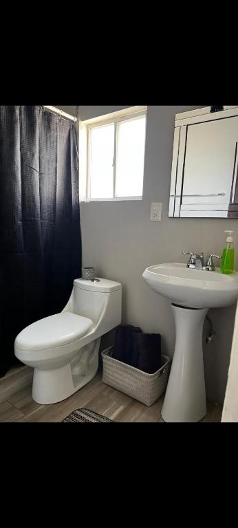 Loft amueblado en Zapopan - 3
