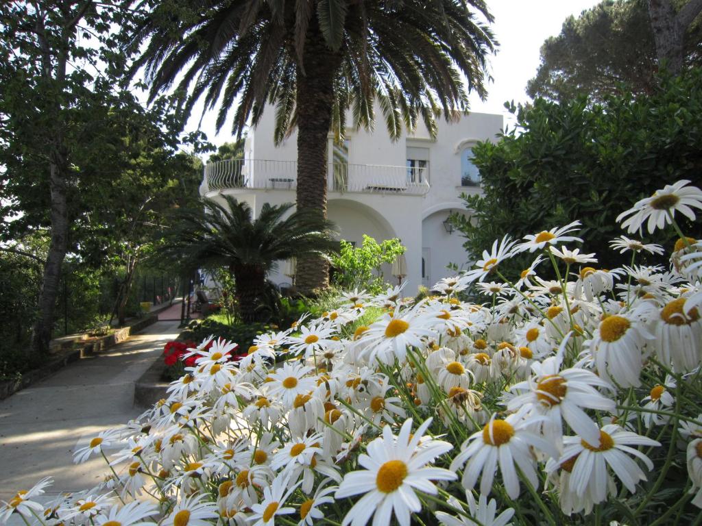B&B Il Sogno photo