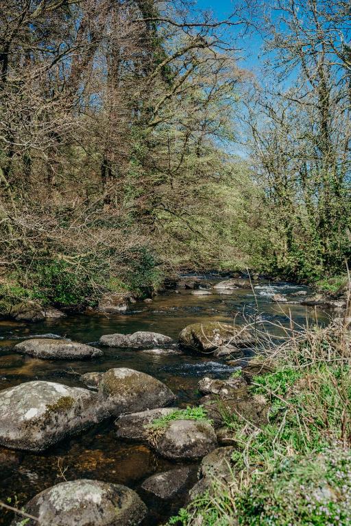 Fox Tor Apartment, Plymouth