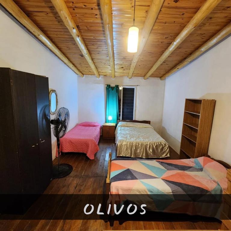Departamentos Los olivos - 2