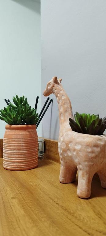 Квартира Olimbe, Yaoundé