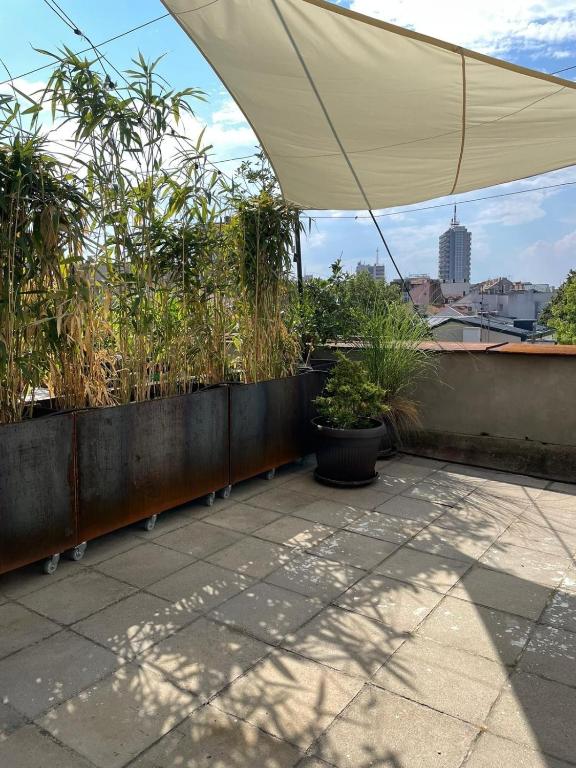 BGLAB Small Rooftop - 4